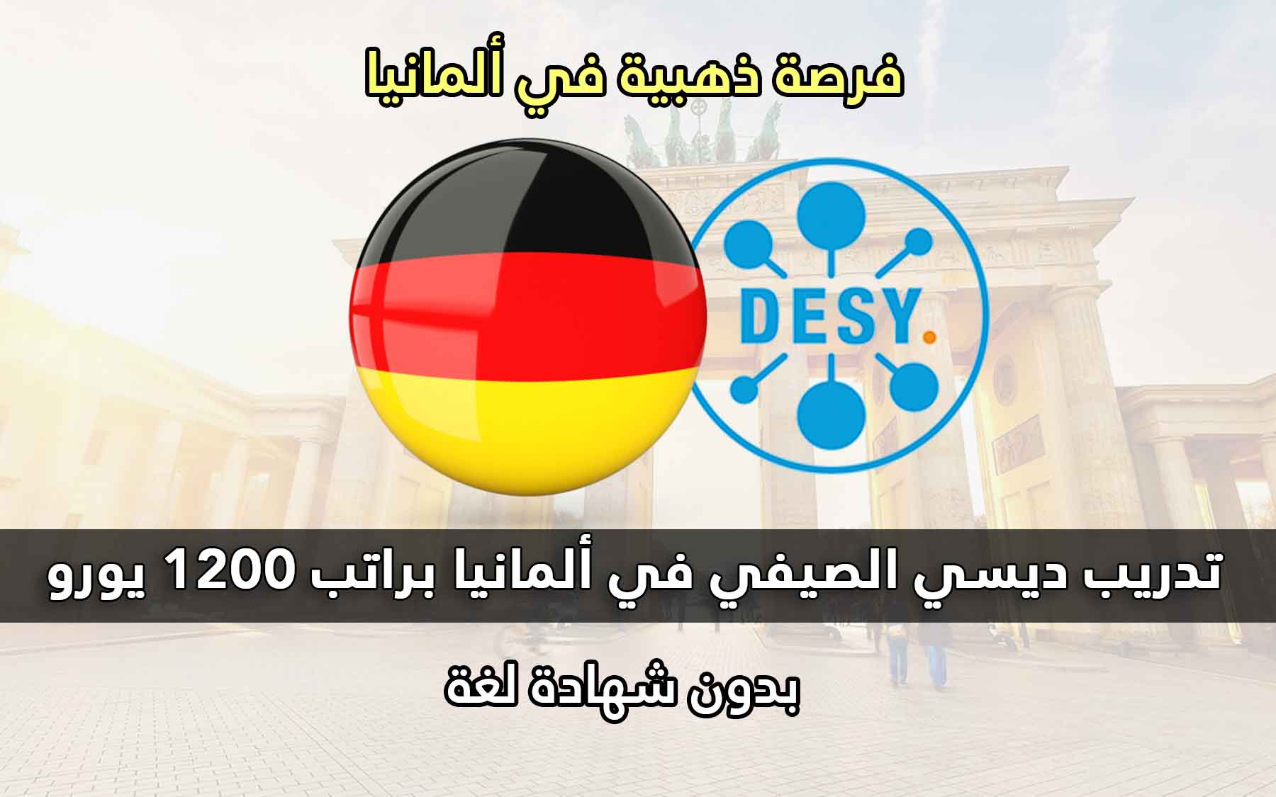 تدريب ديسي الصيفي في ألمانيا براتب 1200 يورو