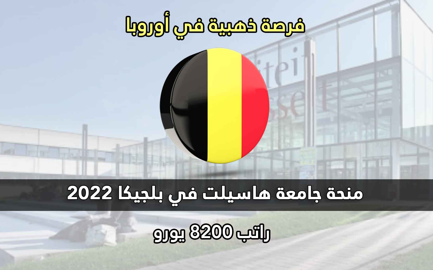 منحة جامعة هاسيلت في بلجيكا 2022