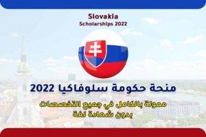 منحة حكومة سلوفاكيا 2022