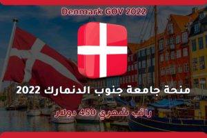 منحة جامعة جنوب الدنمارك 2022