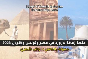 منحة زمالة لازورد في مصر وتونس والأردن 2023