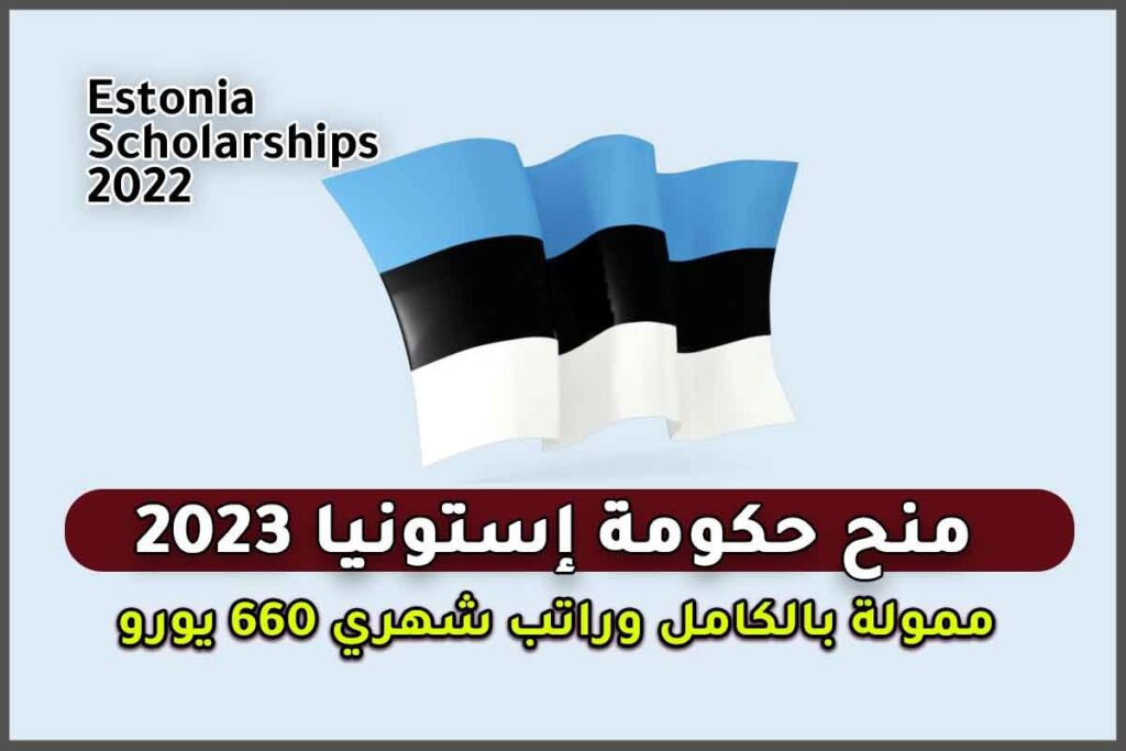 منحة حكومة إستونيا