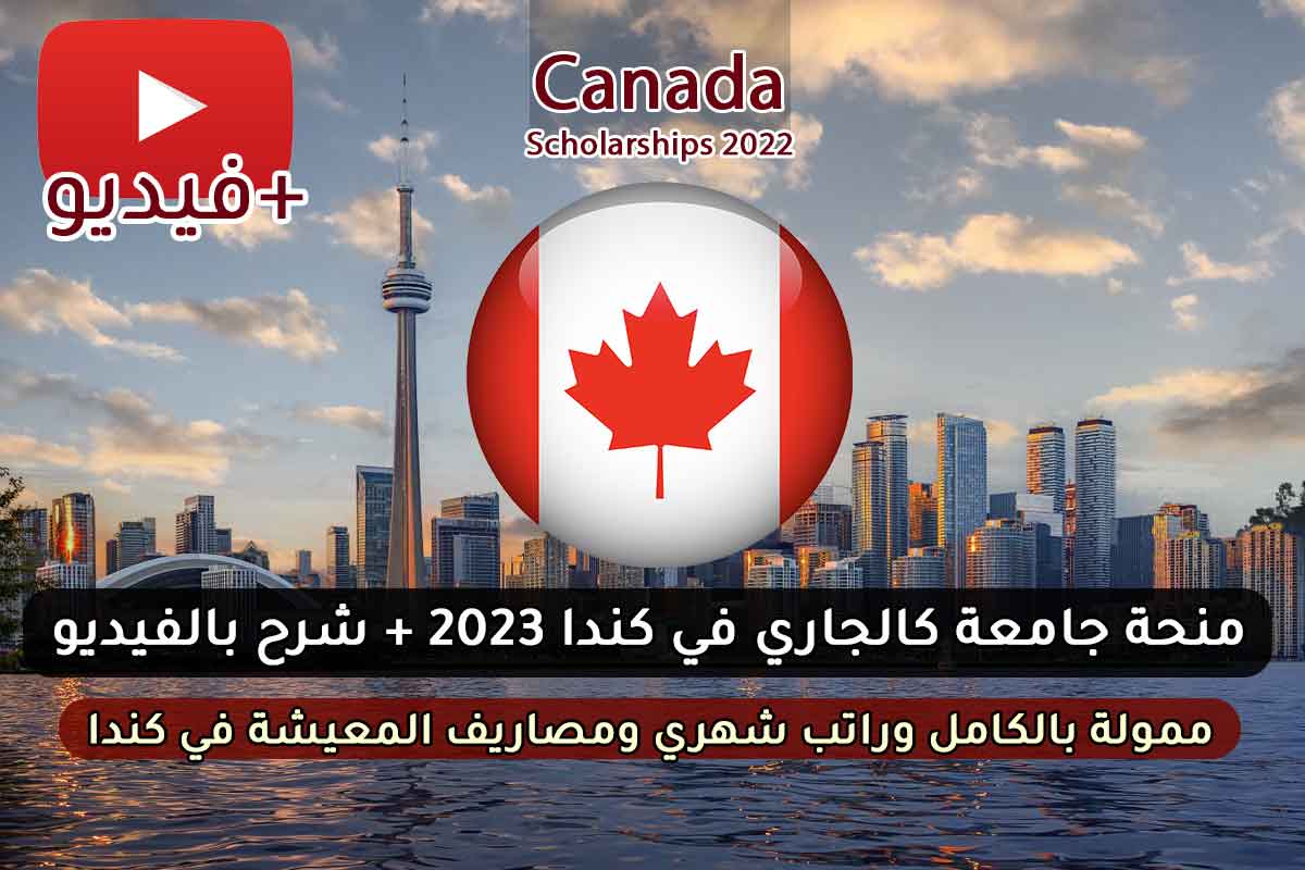 منحة جامعة كالجاري في كندا 2023 + شرح بالفيديو