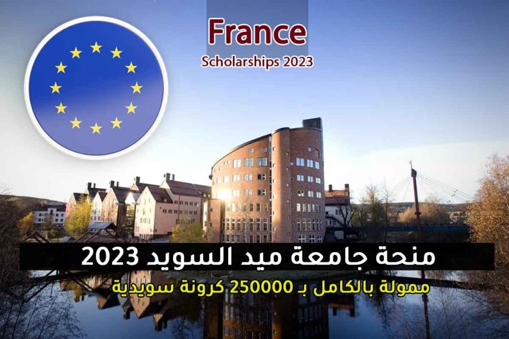 منحة جامعة ميد السويد 2023