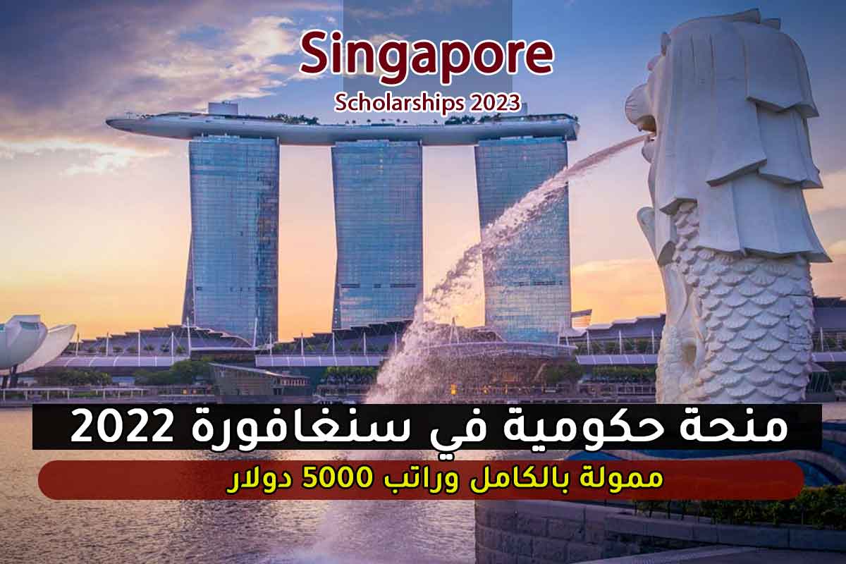 منحة حكومية في سنغافورة 2022