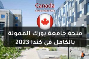 منحة جامعة يورك الممولة بالكامل في كندا 2023