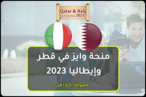 منحة وايز في قطر وإيطاليا 2023