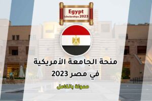 منحة الجامعة الأمريكية في مصر 2023