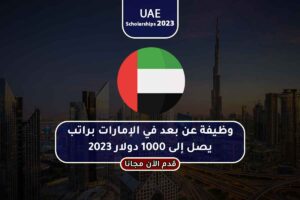 وظيفة عن بعد في الإمارات براتب يصل إلى 1000 دولار 2023