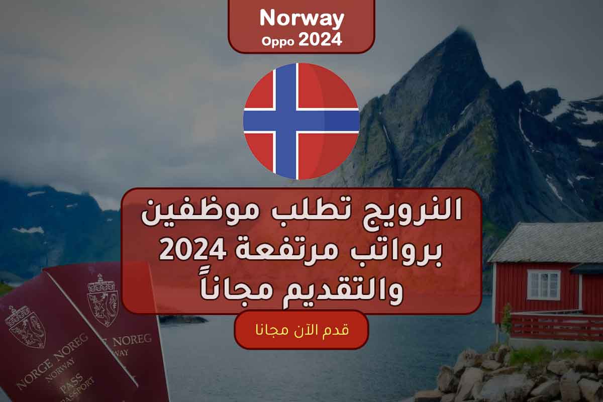 النرويج تطلب موظفين برواتب مرتفعة 2024 والتقديم مجاناً