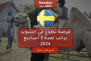 فرصة تطوع في السويد براتب لمدة 3 أسابيع 2024