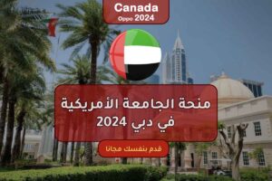 منحة الجامعة الأمريكية في دبي 2024