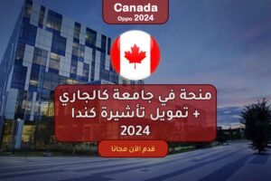 منحة في جامعة كالجاري + تمويل تأشيرة كندا 2024