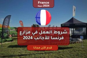 شروط العمل في مزارع فرنسا للأجانب 2024