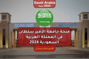 منحة جامعة الأمير سلطان في المملكة العربية السعودية 2024