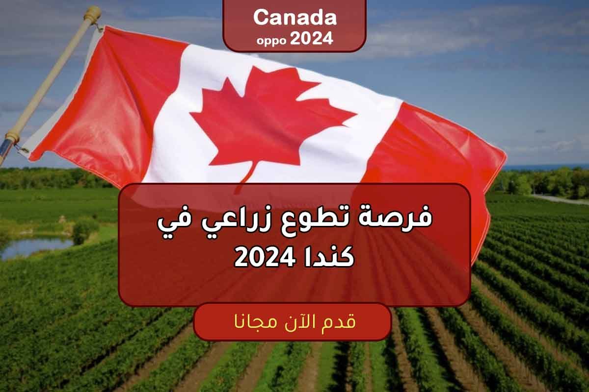 فرصة تطوع زراعي في كندا 2024