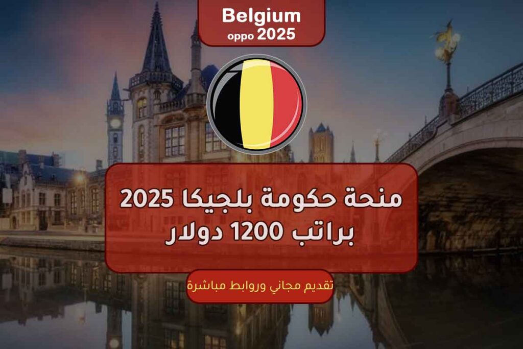 منحة حكومة بلجيكا 2025